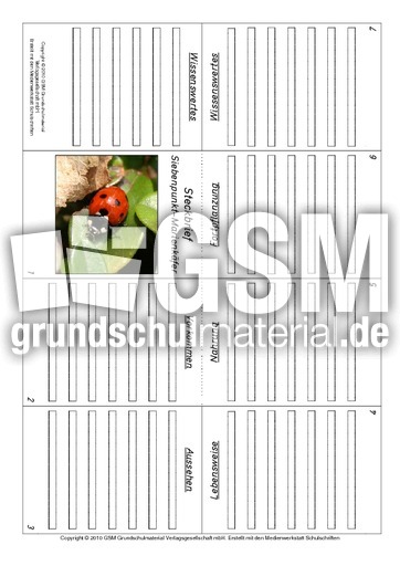 Faltbuch-Siebenpunkt-Marienkäfer.pdf